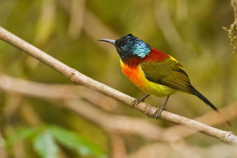 post-128422-0-94429400-1454580227_thumb.