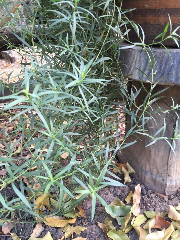 post-14625-0-70813600-1455716320_thumb.j