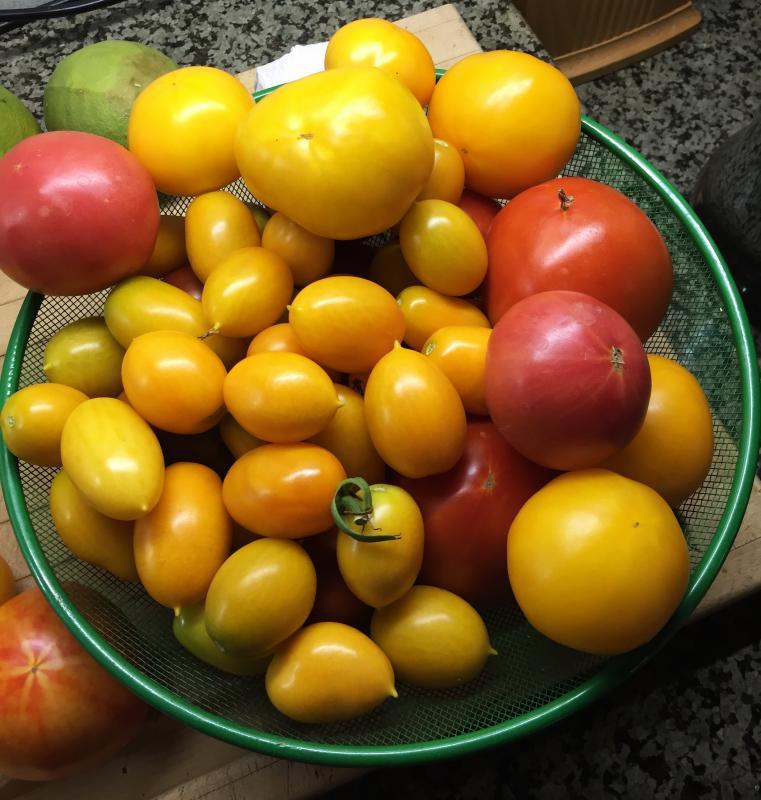 post-14625-0-99458100-1455716441_thumb.j