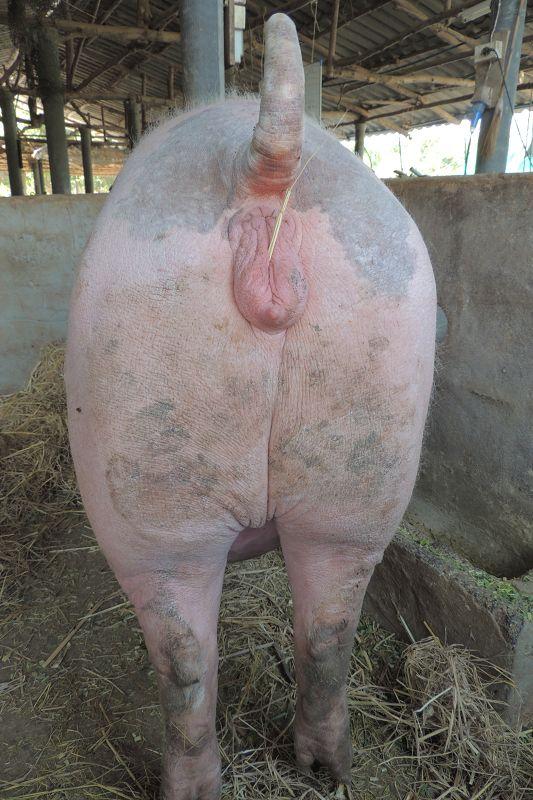 post-147638-0-30672900-1455623909_thumb.