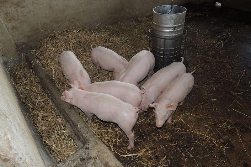 post-147638-0-40847000-1455108873_thumb.