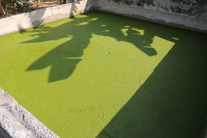 post-147638-0-41050300-1456209437_thumb.