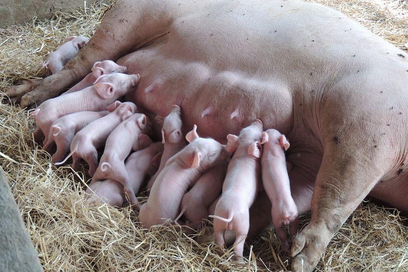 post-147638-0-50304000-1456209854_thumb.