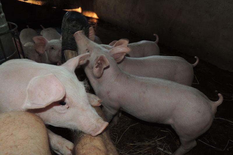 post-147638-0-54271000-1455108844_thumb.