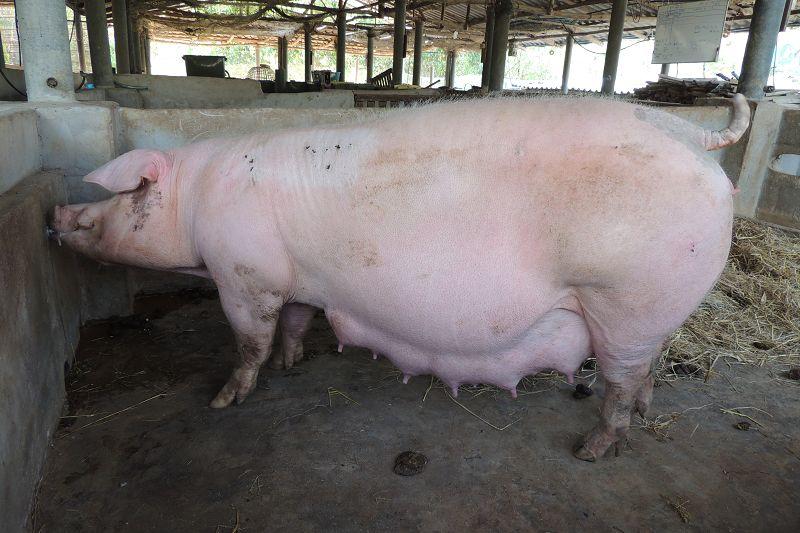 post-147638-0-86672500-1455623888_thumb.