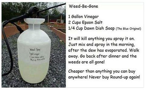 post-155756-0-34024000-1456547921_thumb.