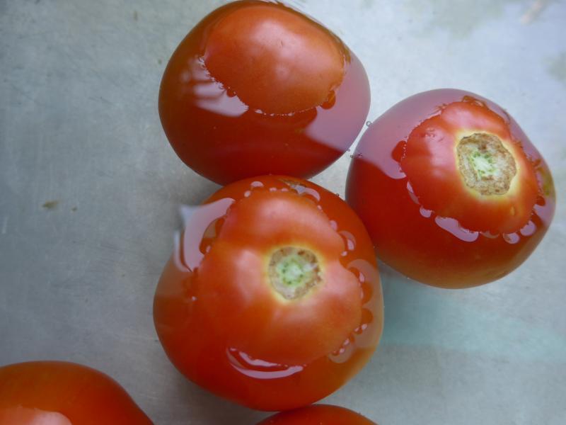 post-172265-0-69409800-1456216009_thumb.