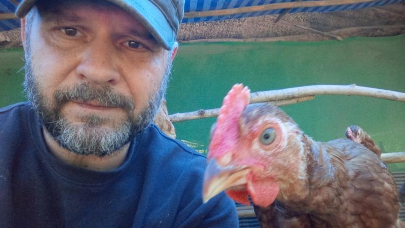 post-175342-0-62766700-1454293139_thumb.