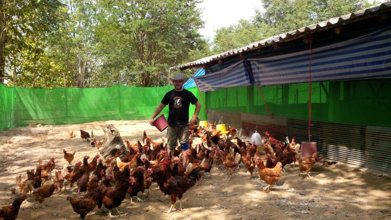 post-175342-0-74874700-1454292079_thumb.