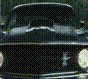 post-21260-0-57553800-1456075261_thumb.g