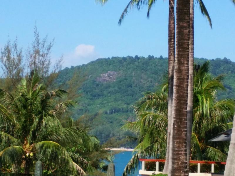 post-221431-0-75148300-1456061283_thumb.