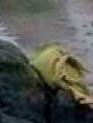 post-222787-0-37978600-1456355679_thumb.