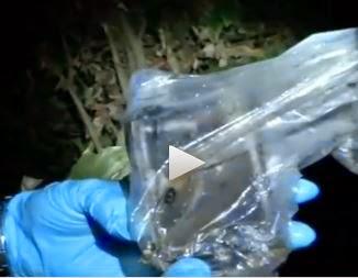 post-246493-0-47096400-1456050176_thumb.