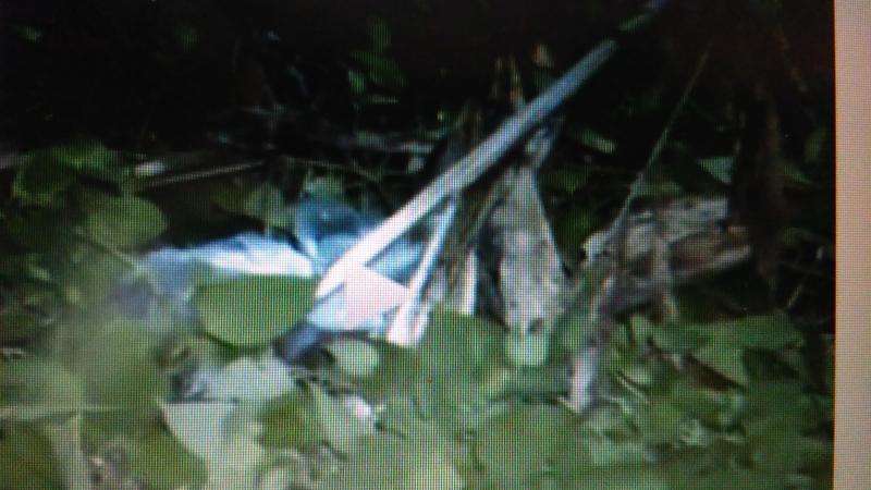 post-246493-0-55777400-1456050243_thumb.