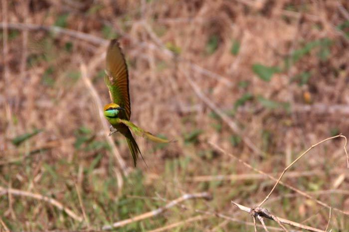 post-25665-0-15114300-1454334592_thumb.j