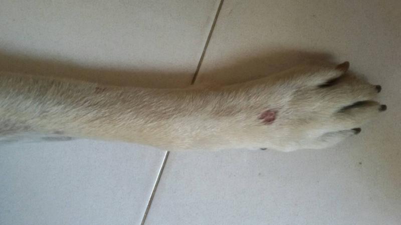 post-25991-0-59938600-1454644699_thumb.j