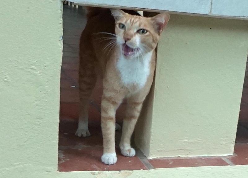 post-35489-0-56463400-1456653490_thumb.j