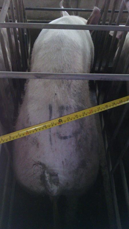 post-44389-0-13315900-1455592219_thumb.j