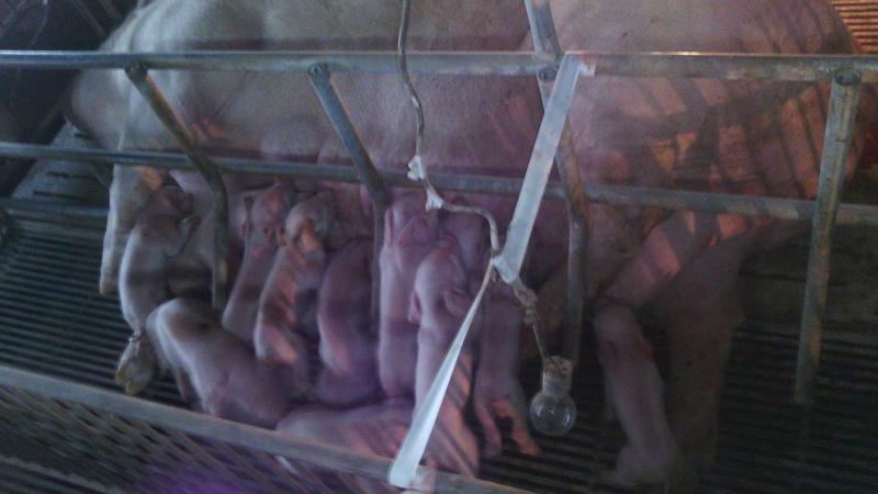 post-44389-0-39602900-1455593276_thumb.j