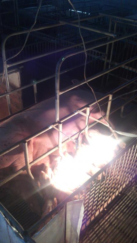 post-44389-0-41453200-1455074595_thumb.j