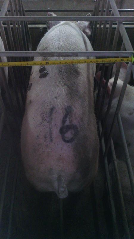 post-44389-0-81153600-1455592163_thumb.j