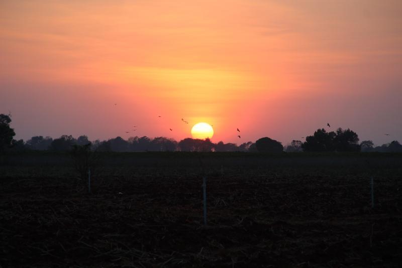 post-45719-0-16999700-1456374432_thumb.j