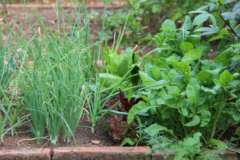 post-45719-0-56671200-1454744038_thumb.j