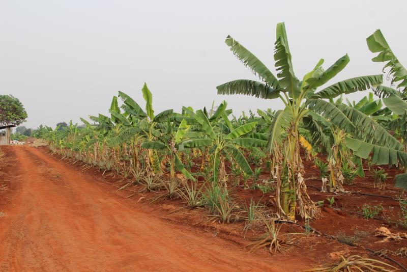 post-45719-0-59989900-1456374847_thumb.j