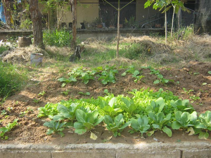 post-51965-0-00783700-1455766605_thumb.j