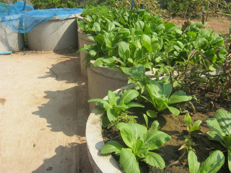 post-51965-0-17325200-1455766631_thumb.j