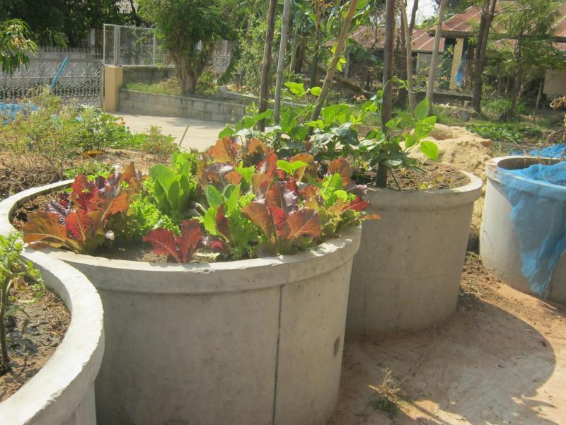 post-51965-0-34837700-1455766644_thumb.j