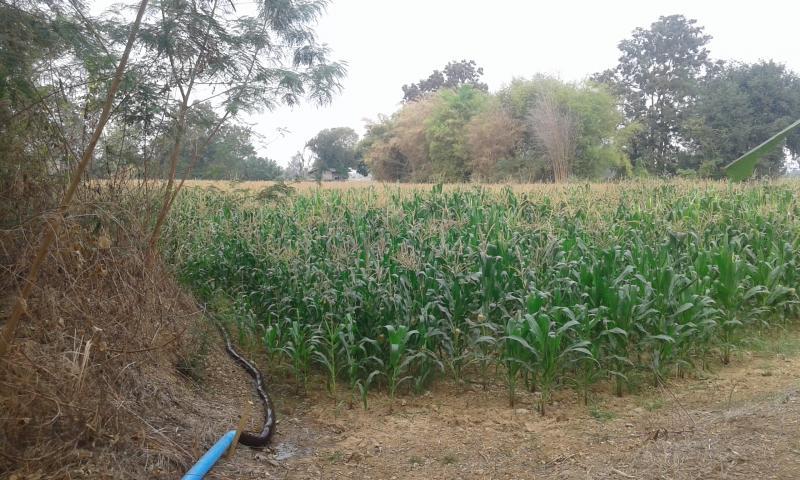 post-63954-0-65452200-1456368378_thumb.j