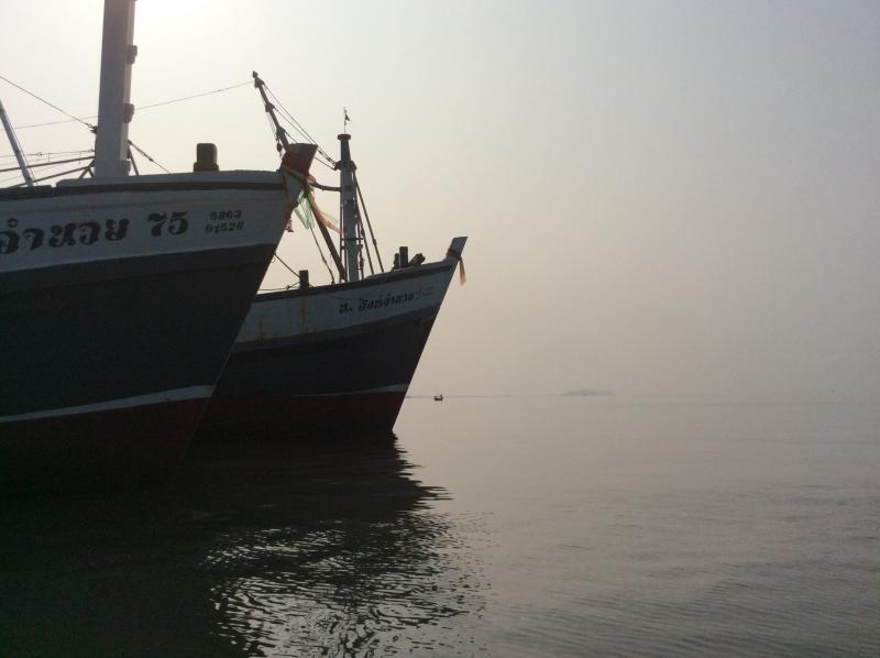 post-83282-0-21502600-1456453761_thumb.j