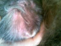 post-1514-1172800440_thumb.jpg