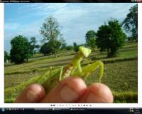 post-17598-1204419404_thumb.jpg