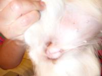 post-28619-1204406432_thumb.jpg