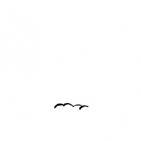 post-59607-1206202801_thumb.png