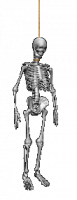 post-59607-1206798908_thumb.png