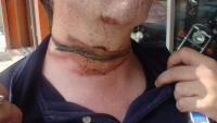 post-52199-1236681119_thumb.jpg