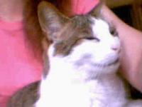 post-21260-1268950557_thumb.jpg