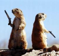 post-110219-0-45503000-1300528473_thumb.