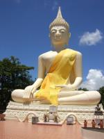 post-126208-0-08271400-1300569094_thumb.