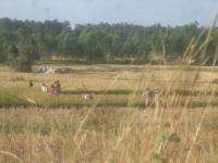 post-126208-0-15969500-1300569034_thumb.