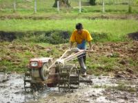 post-126208-0-31110100-1300569031_thumb.