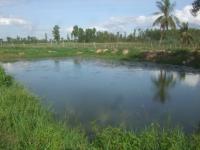 post-126208-0-72653400-1300306384_thumb.