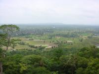 post-126208-0-95790900-1300569098_thumb.