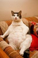 post-22920-0-33547500-1300108386_thumb.j