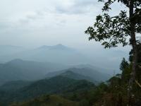 post-72973-0-17468700-1300168543_thumb.j