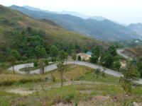 post-72973-0-29498700-1300168546_thumb.j