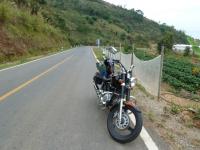 post-72973-0-76579500-1300168531_thumb.j